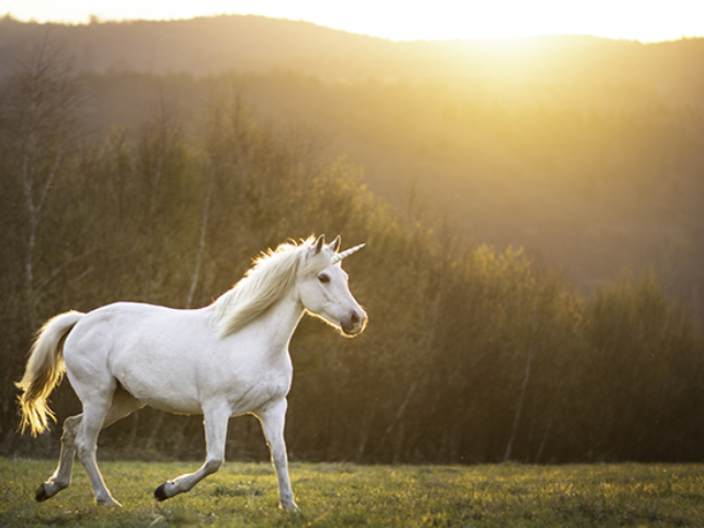 Today’s Real Estate Market: The ‘Unicorns’ Have Galloped Off